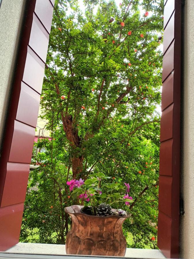 Il Melograno Hotel Vittorio Veneto Ngoại thất bức ảnh